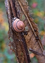 4711 16X_4052-1-Kopie